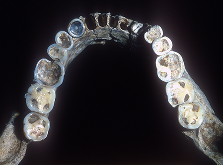 港川外人住宅 可以逛多久？