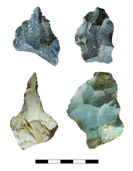 LEAD Technologies Inc. V1.01